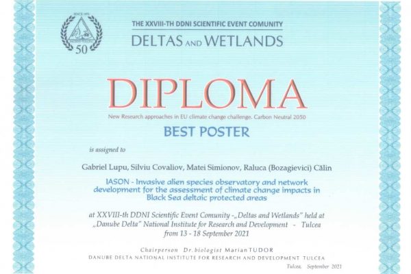 Diploma Best Poster_page-0001